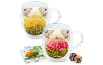 TWIN HARMONY® XL 2-Piece Set Double Wall Mugs 550ml/18oz