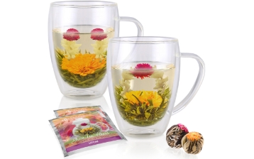 CLEAR BLISS® Double Walled Mugs – Set of 2 Insulated Glass Beverage Mugs for Tea  Coffee  and More - 12 oz / 350 ml 