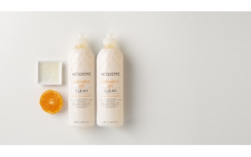 DISHWASHER GEL (2 PACK)